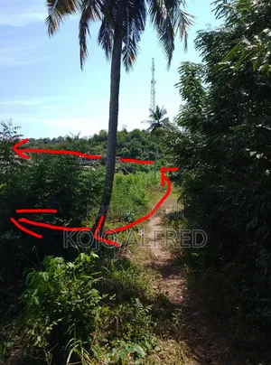 Registered One Plot of Land at Moree for Sale