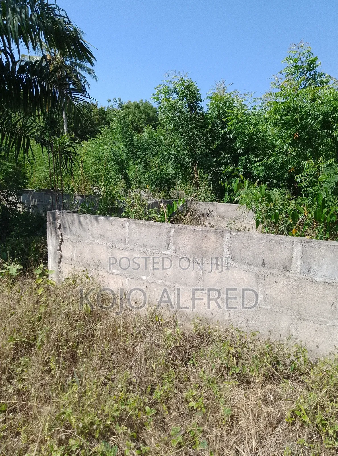 Registered One Plot of Land at Moree for Sale