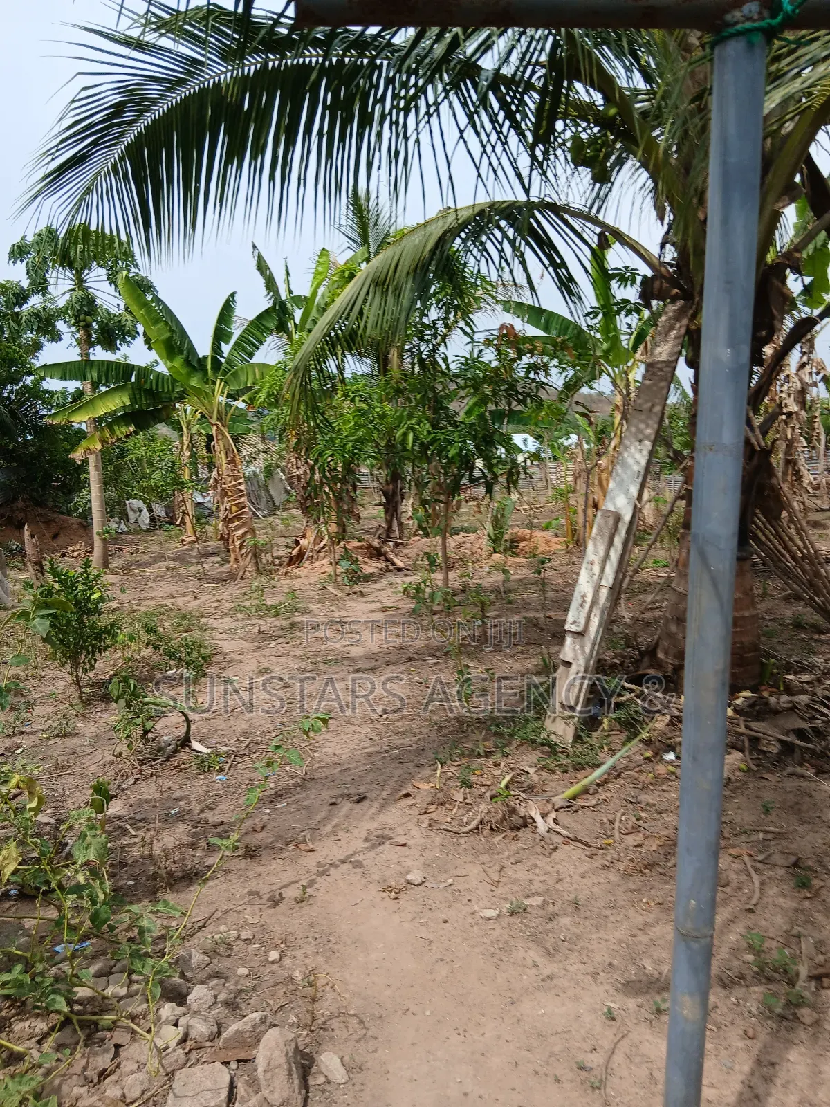 3bdrm House in Hohoe for sale