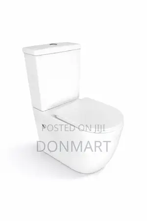 Max66 Rimless Tornado Water Closet Back to Wall Toilet