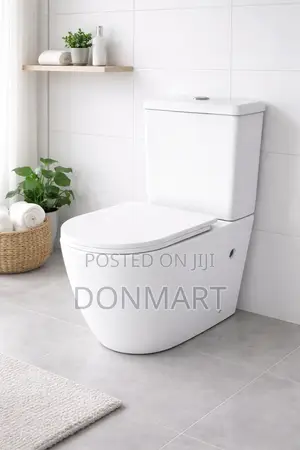 Max66 Rimless Tornado Water Closet Back to Wall Toilet