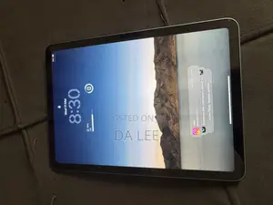 Apple iPad Air 256 GB Silver