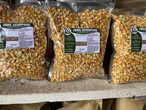 75 Days Togolese Yellow Maize Seeds, 1kg /25gh, Non Hybrid, High Yield