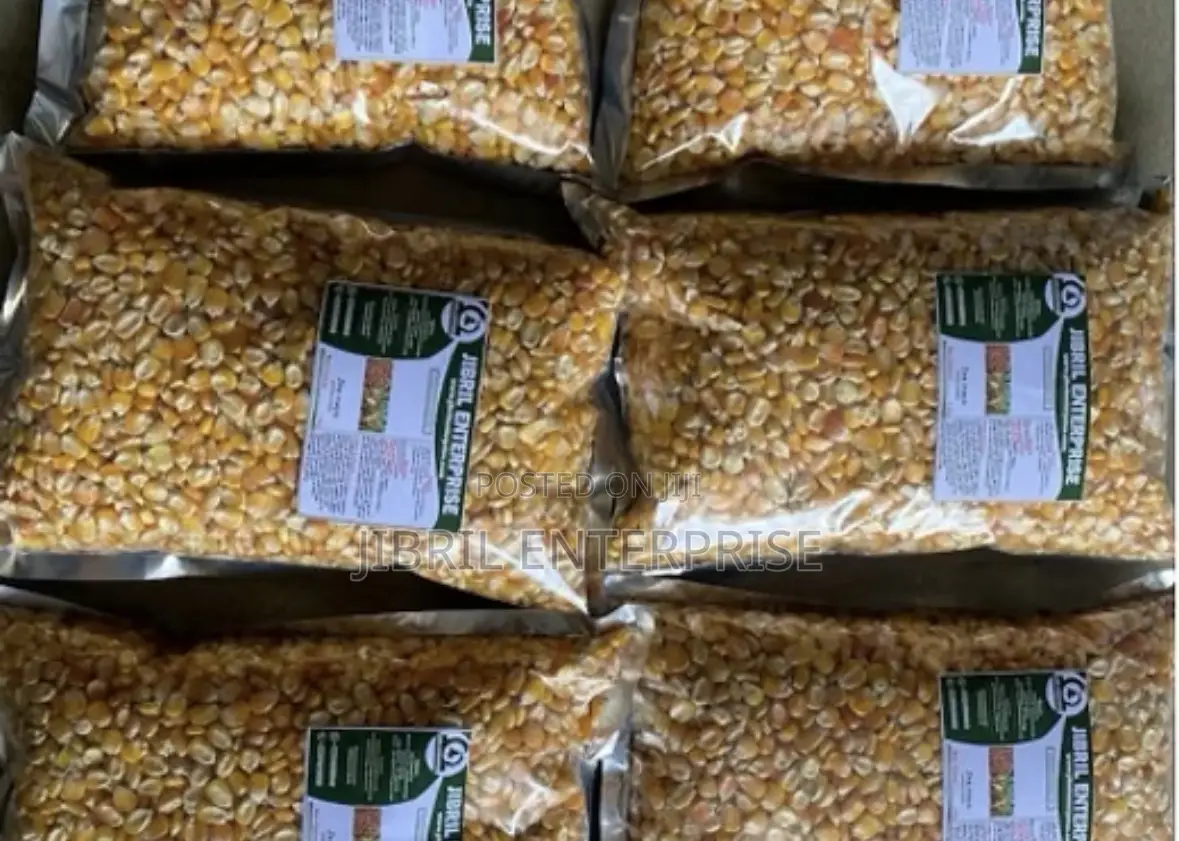 75 Days Togolese Yellow Maize Seeds, 1kg /25gh, Non Hybrid, High Yield