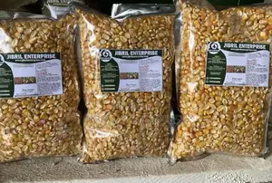 Deux Mois, 75 Days Togolese Yellow Maize Seeds, 1kg /25gh, Non Hybrid