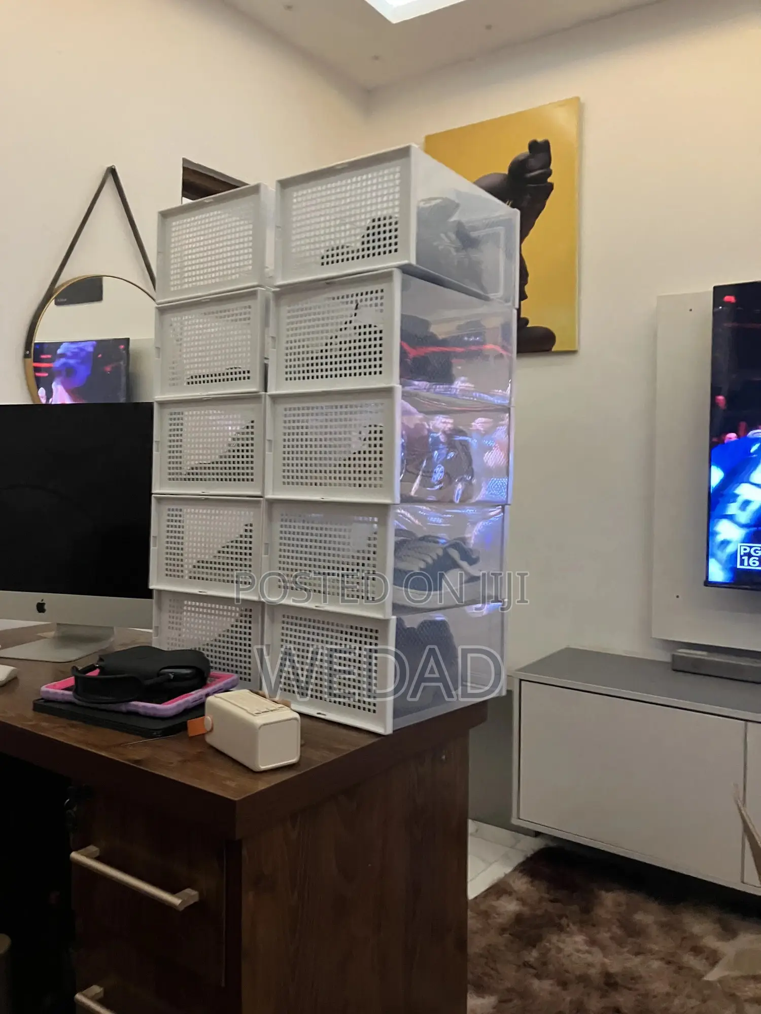 Plastic Shoe Box