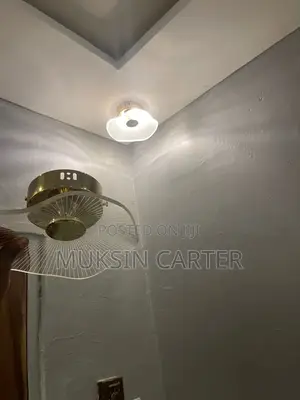 Turkish Light