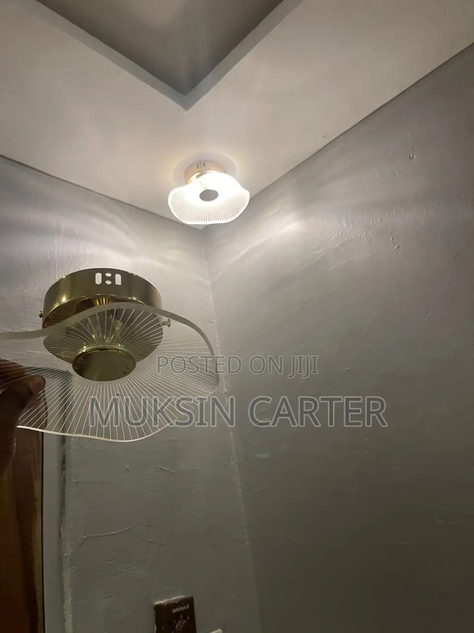 Turkish Light