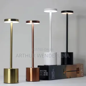 2 In1 Decoration Rechargeable Lamp Light For Rooms