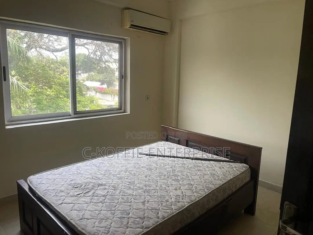 Furnished 4bdrm House in Tesano for rent