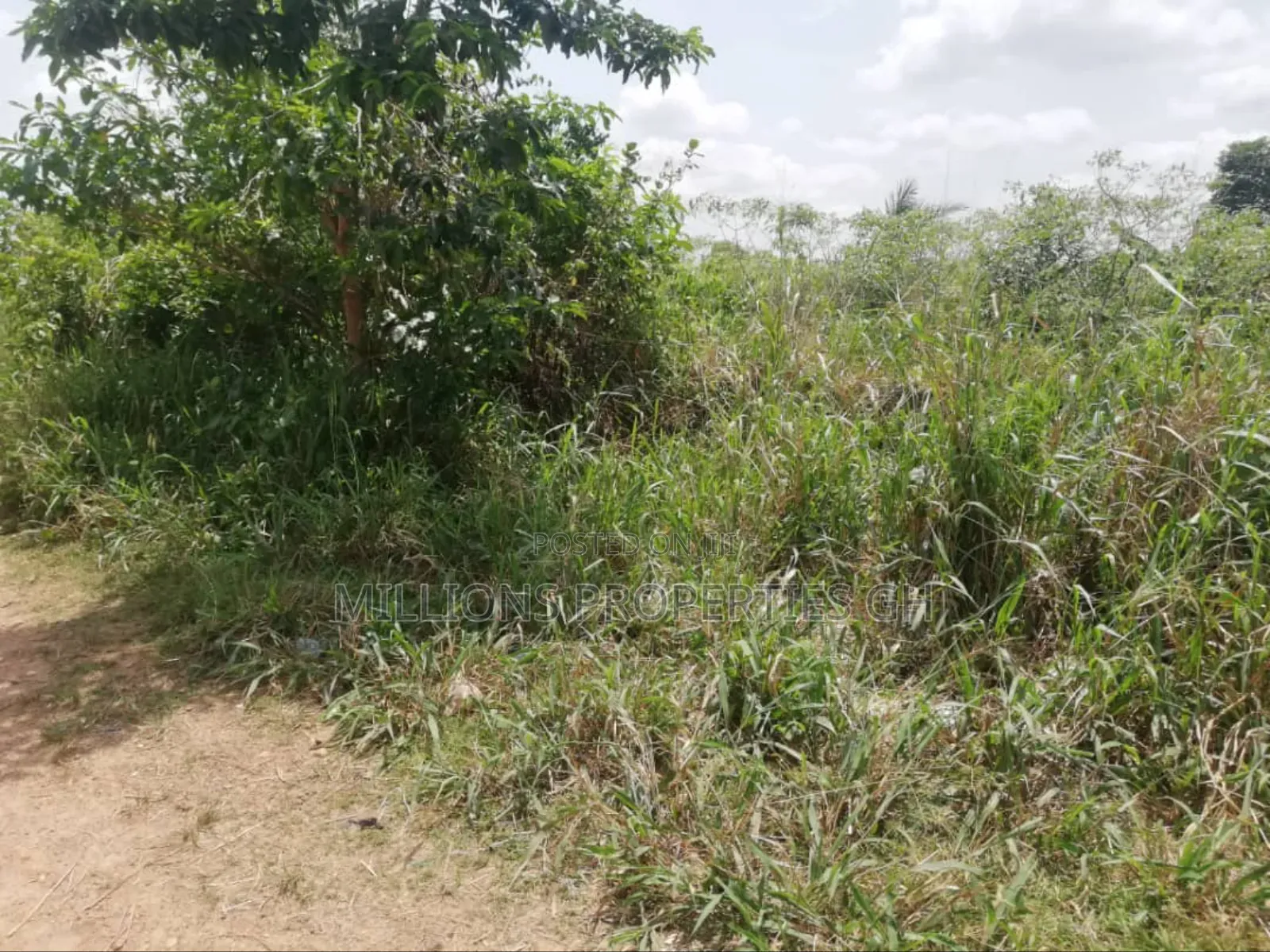 Farmland 4sale Berikese Fufuo