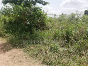 Farmland 4sale Berikese Fufuo