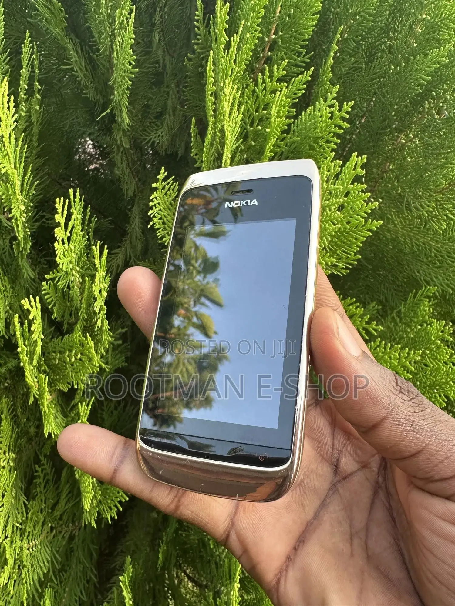Nokia Asha 310 Gold