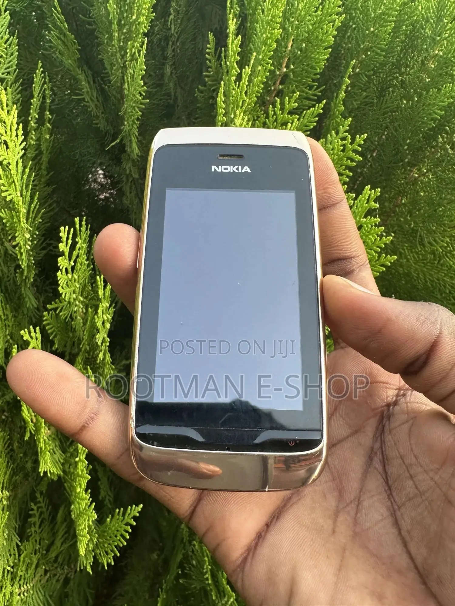 Nokia Asha 310 Gold