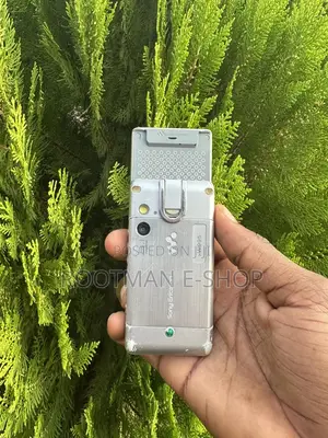Sony Ericsson W995 Silver