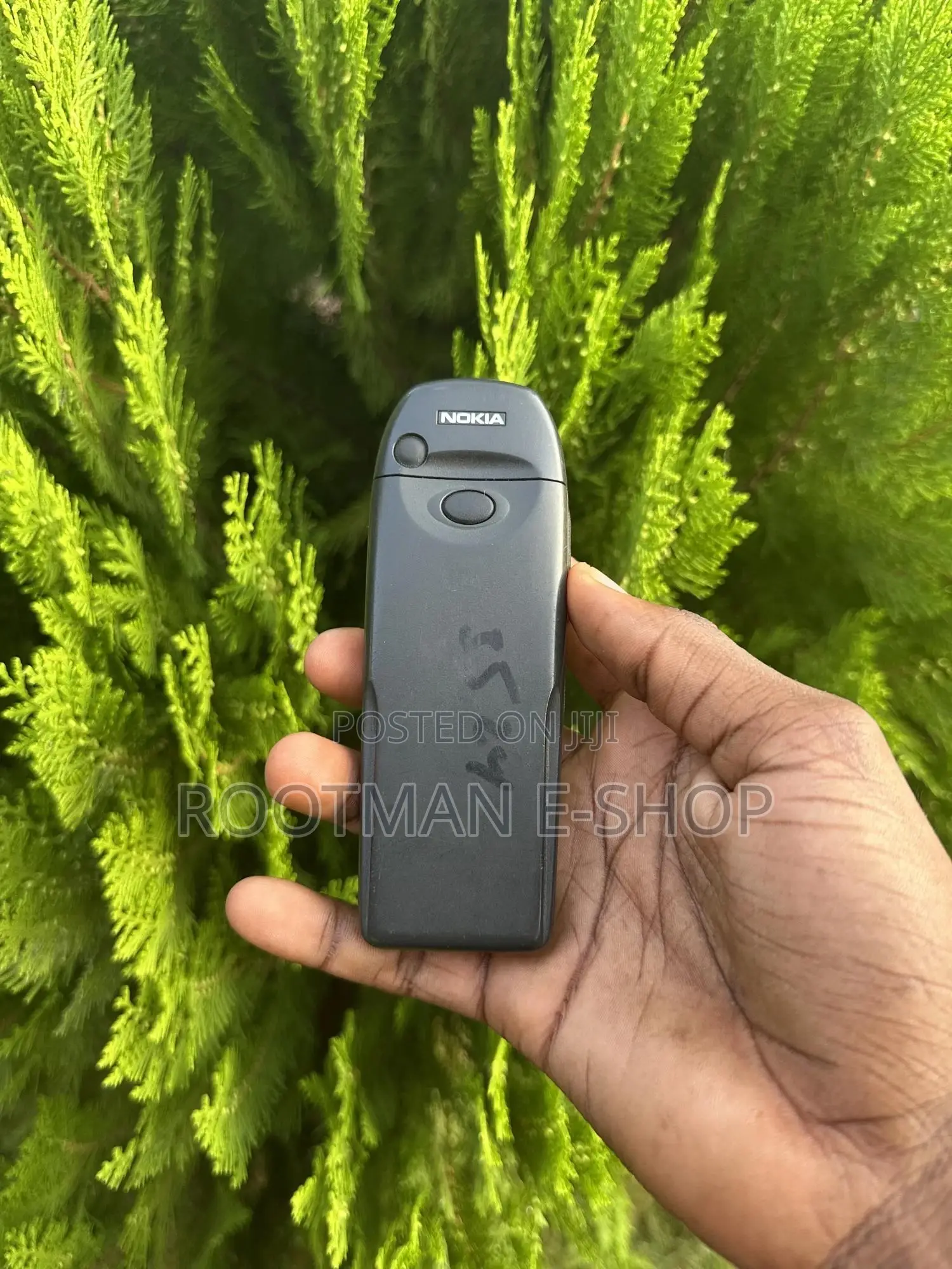 Nokia 6310i Gold