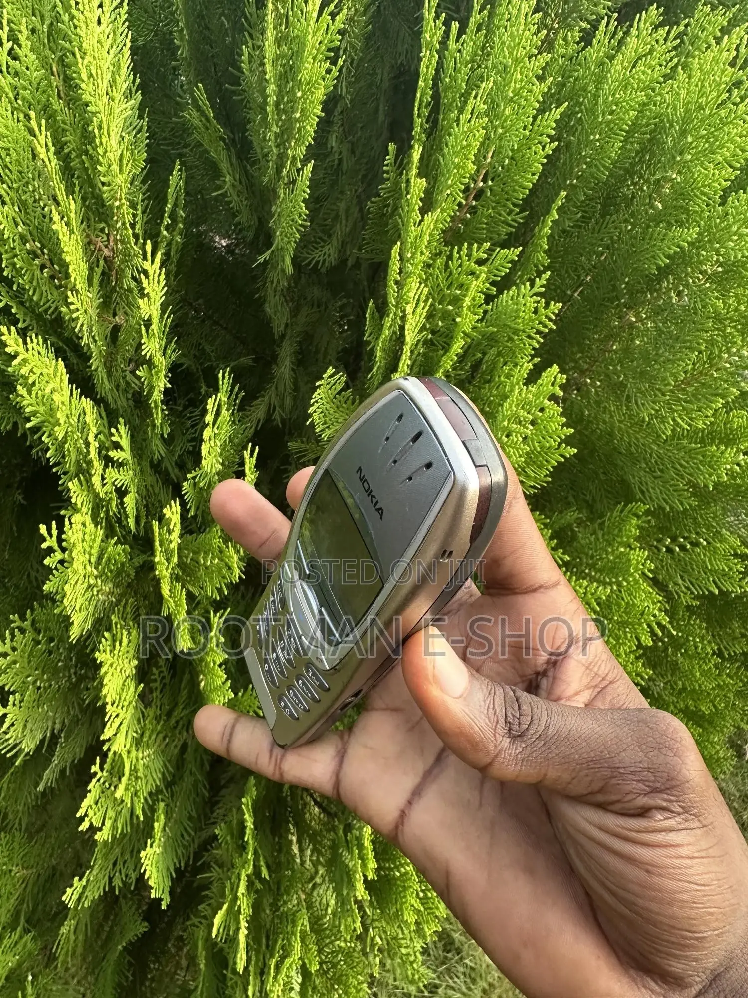 Nokia 6310i Gold