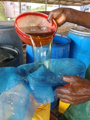 Palm Kernel Oil(Pko)