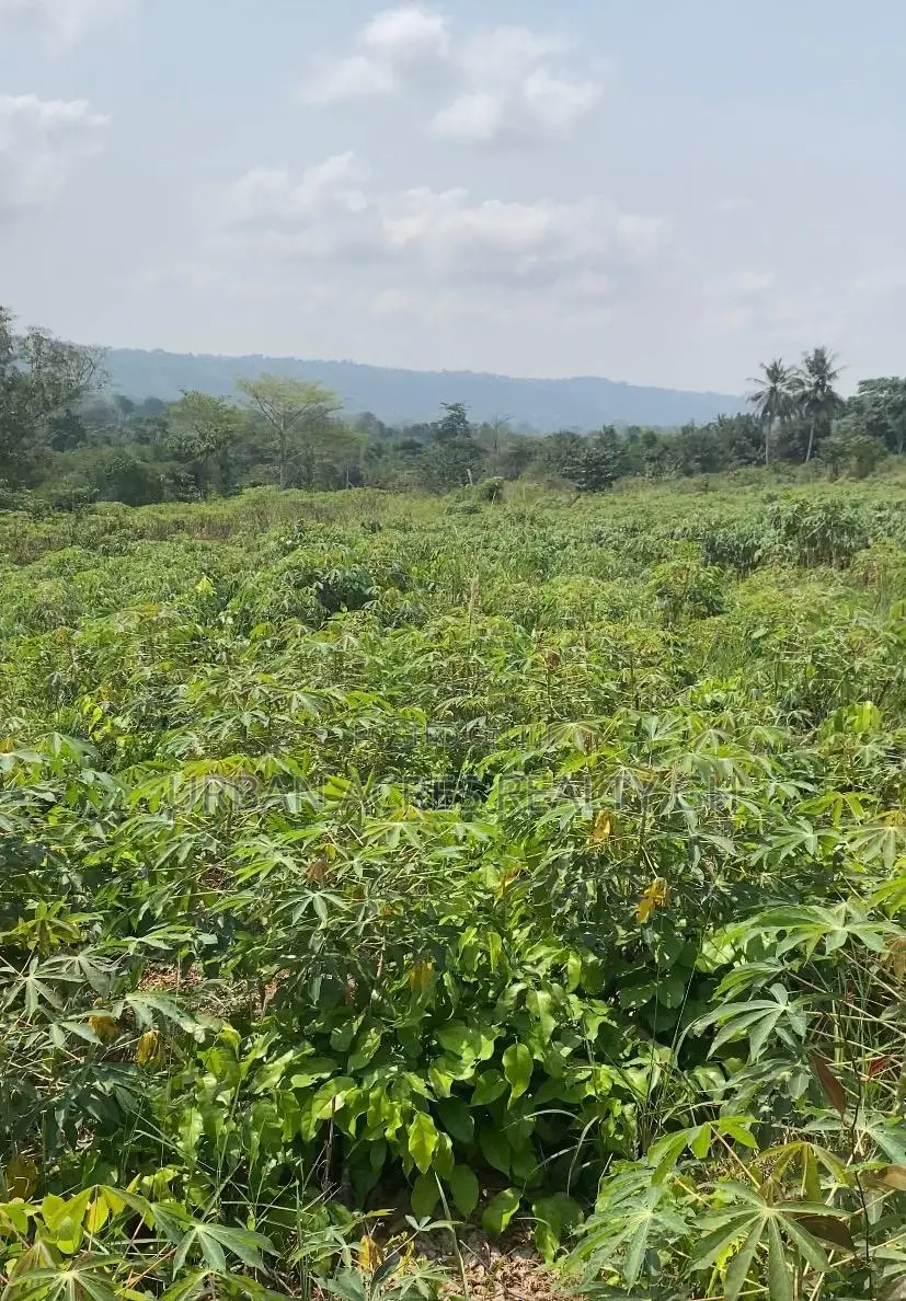 E.R, Akuapim District (Adukrom) _ 36 Plots (6+ Acres) Mountain Land