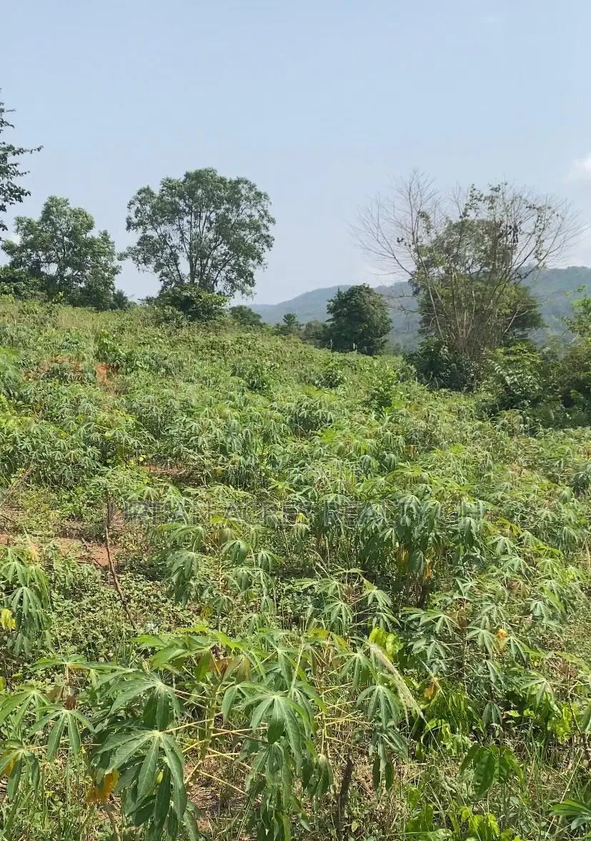 E.R, Akuapim District (Adukrom) _ 36 Plots (6+ Acres) Mountain Land