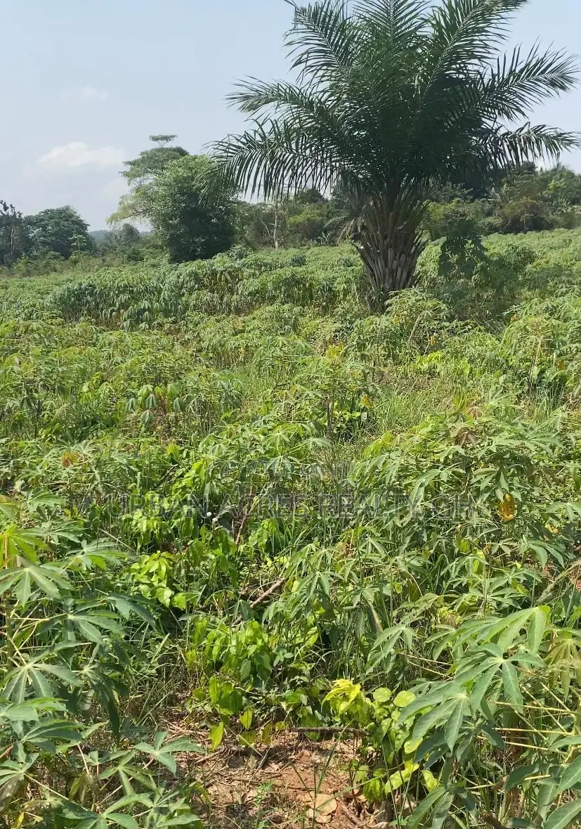 E.R, Akuapim District (Adukrom) _ 36 Plots (6+ Acres) Mountain Land