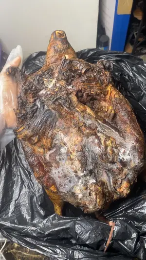 Smoked Bush Meat