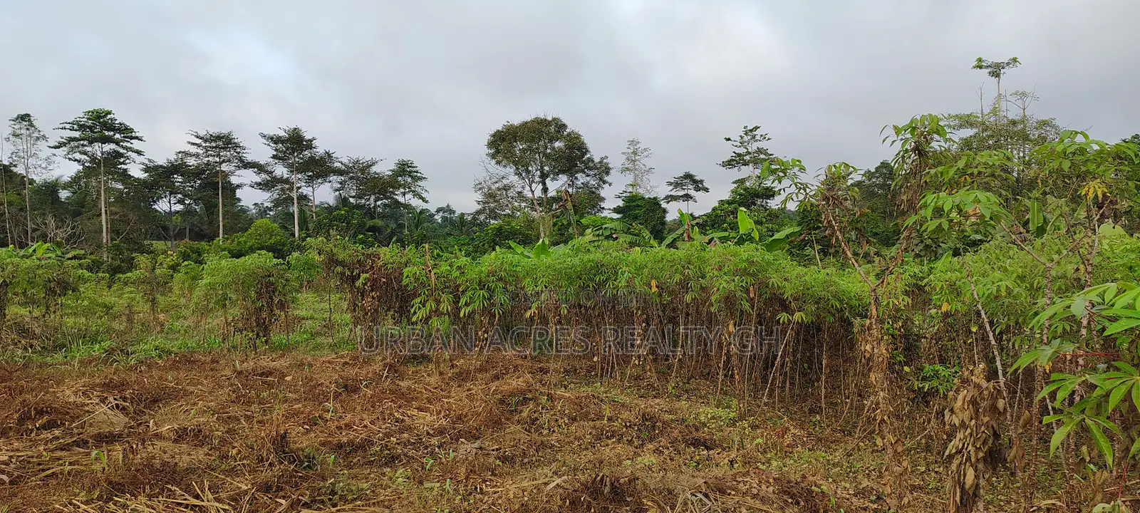 Central Region, Swedru (Kwesi Moko) _ 3 Plots Building Land