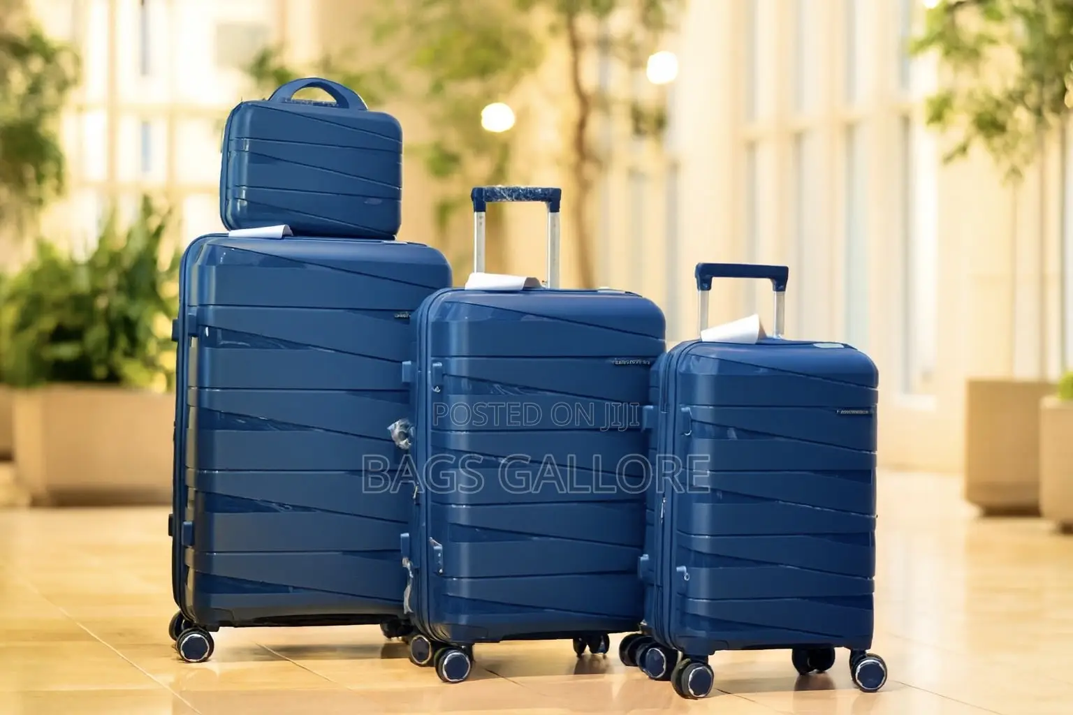 Blue Black Luggage