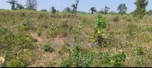 Plot of Land for Sale