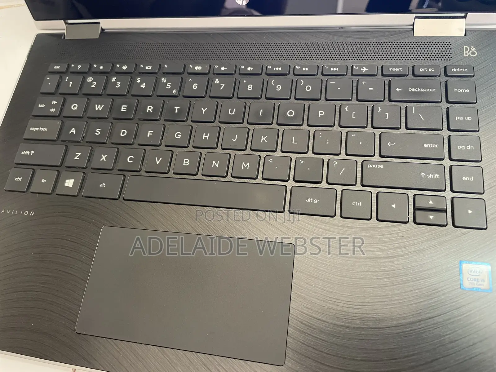 Professional Typing Services