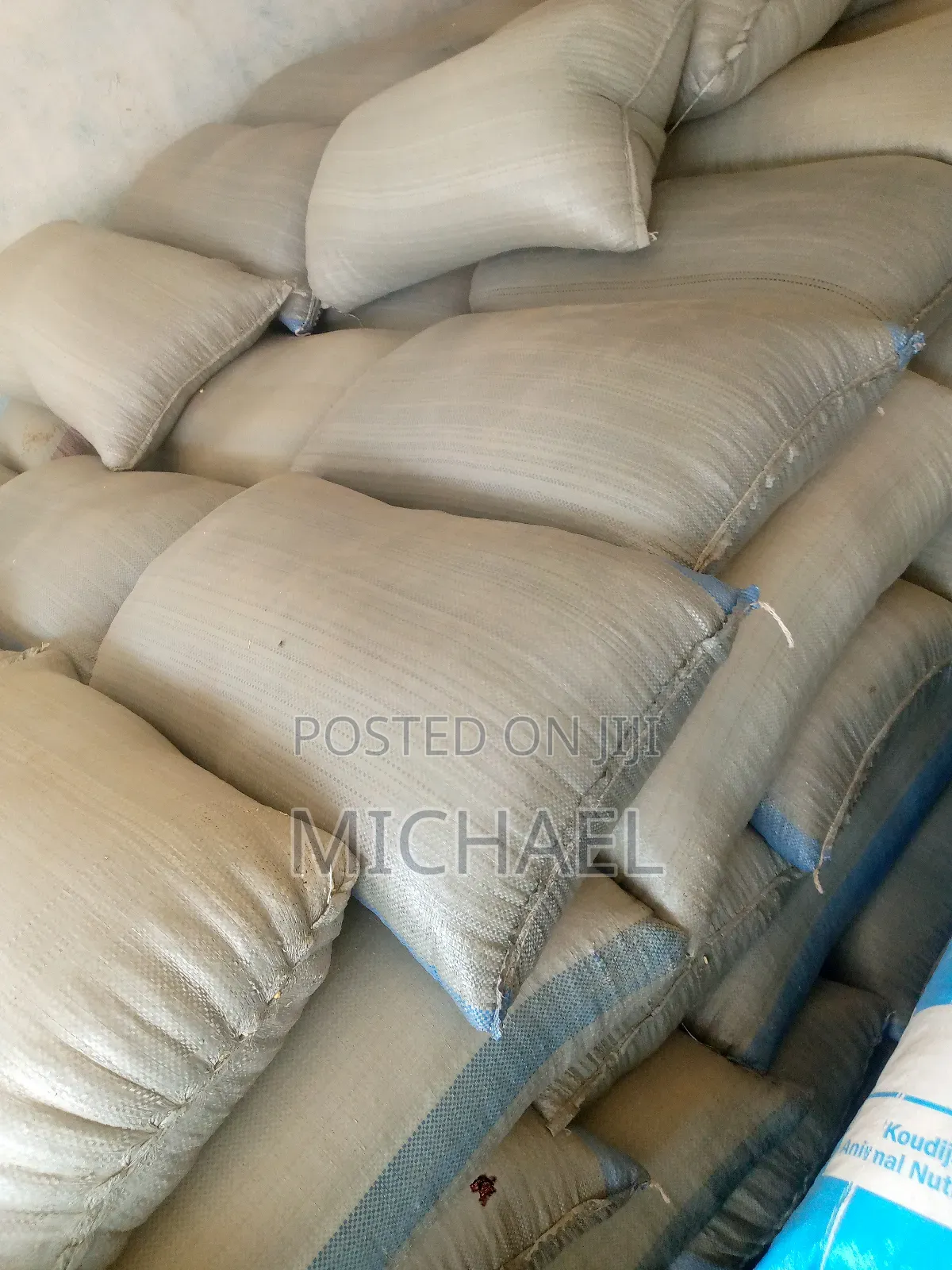 Quality Maize (50 Kg)