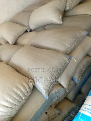 Quality Maize (50 Kg)