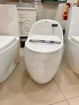 Modern Oval Wc