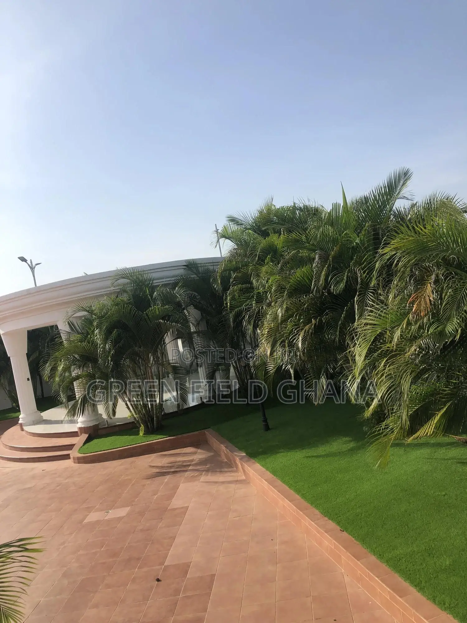Artificial Grass Carpet