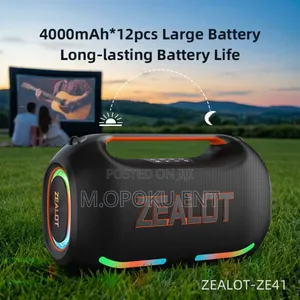 Zealot Ze41
