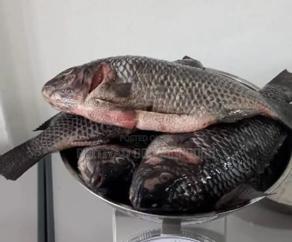 Pritiyad Fresh Tilapia