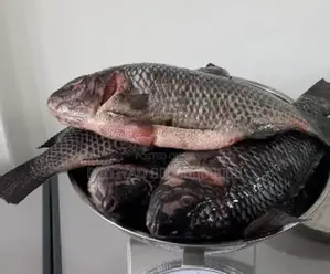 Pritiyad Fresh Tilapia