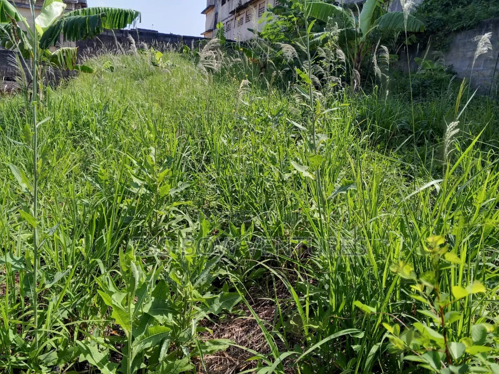 Plot for Sale at Tanokrom