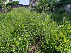 Plot for Sale at Tanokrom