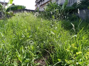Plot for Sale at Tanokrom