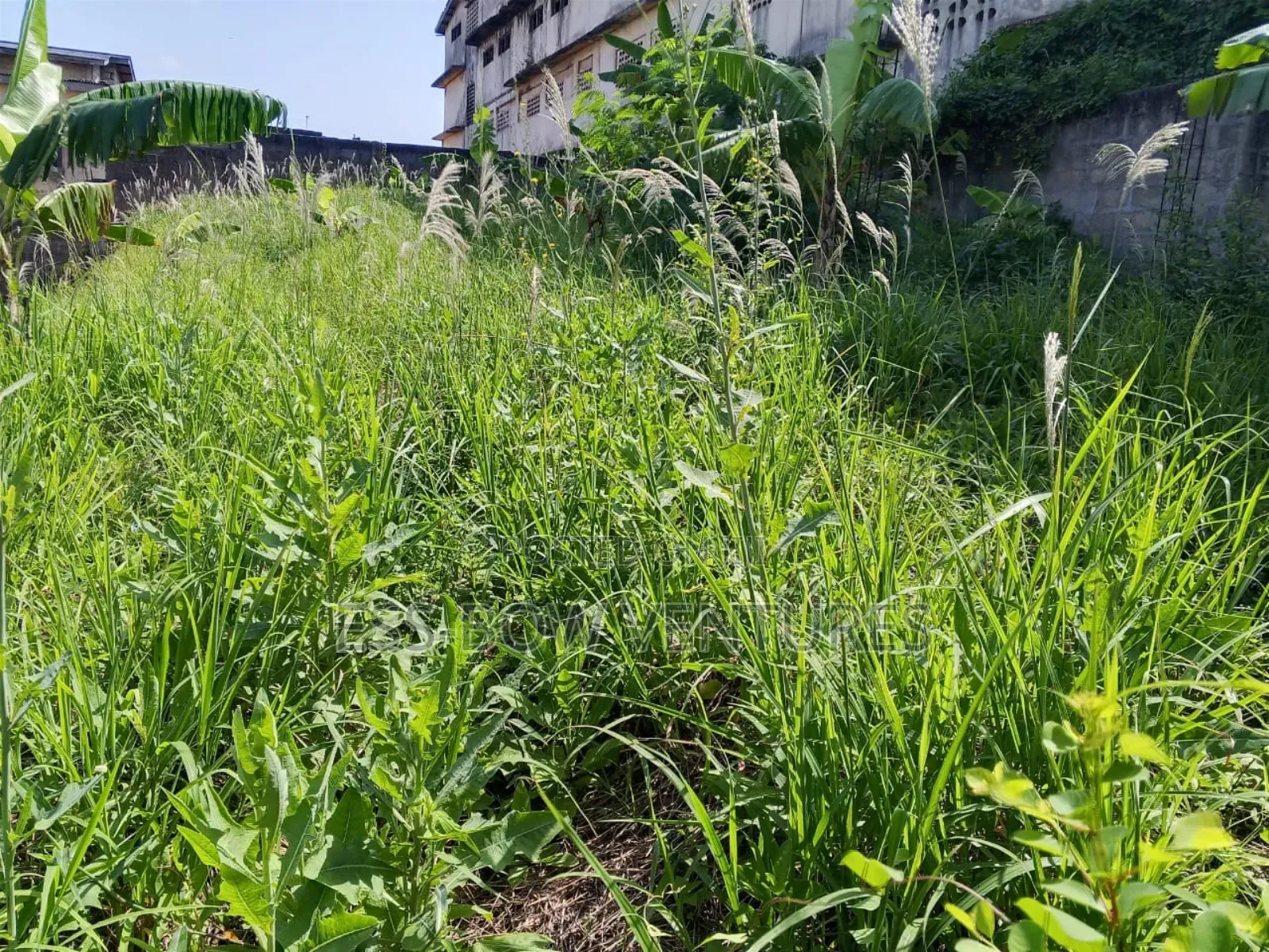 Plot for Sale at Tanokrom