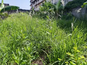 Plot for Sale at Tanokrom