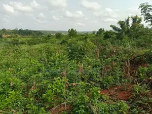 Farmlands at Winneba Simibrofo for Sale