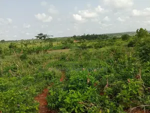 Farmlands at Winneba Simibrofo for Sale