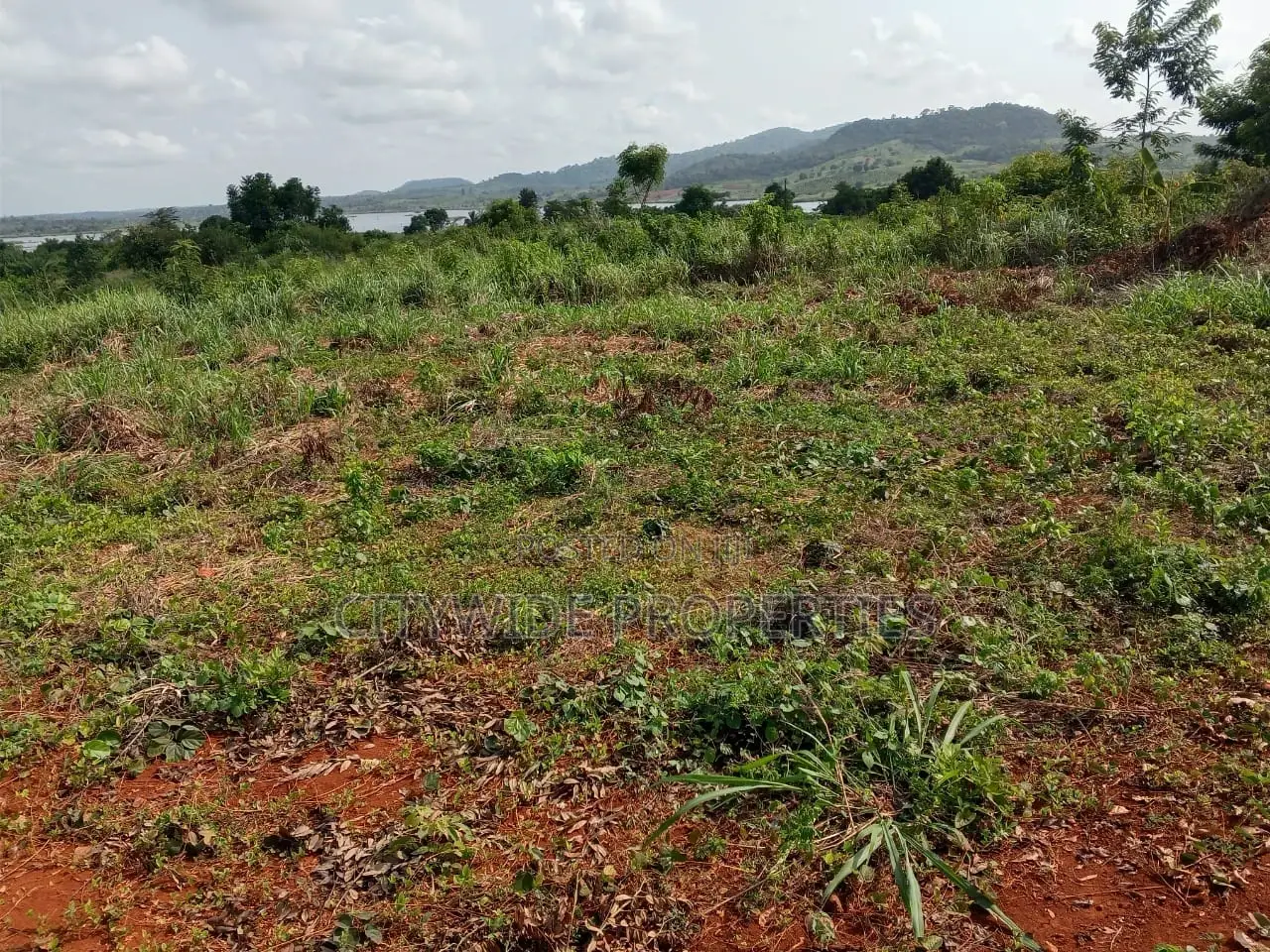 Farmlands For Sale At Winneba Simibrofo