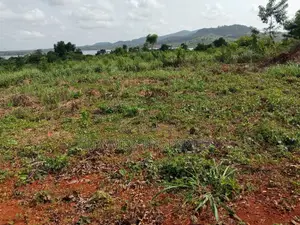Farmlands For Sale At Winneba Simibrofo