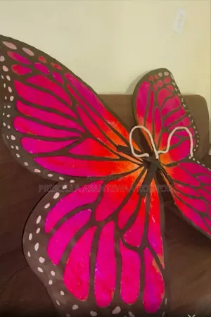 Butterfly Accessories