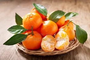 Tangerine Plant Seedling