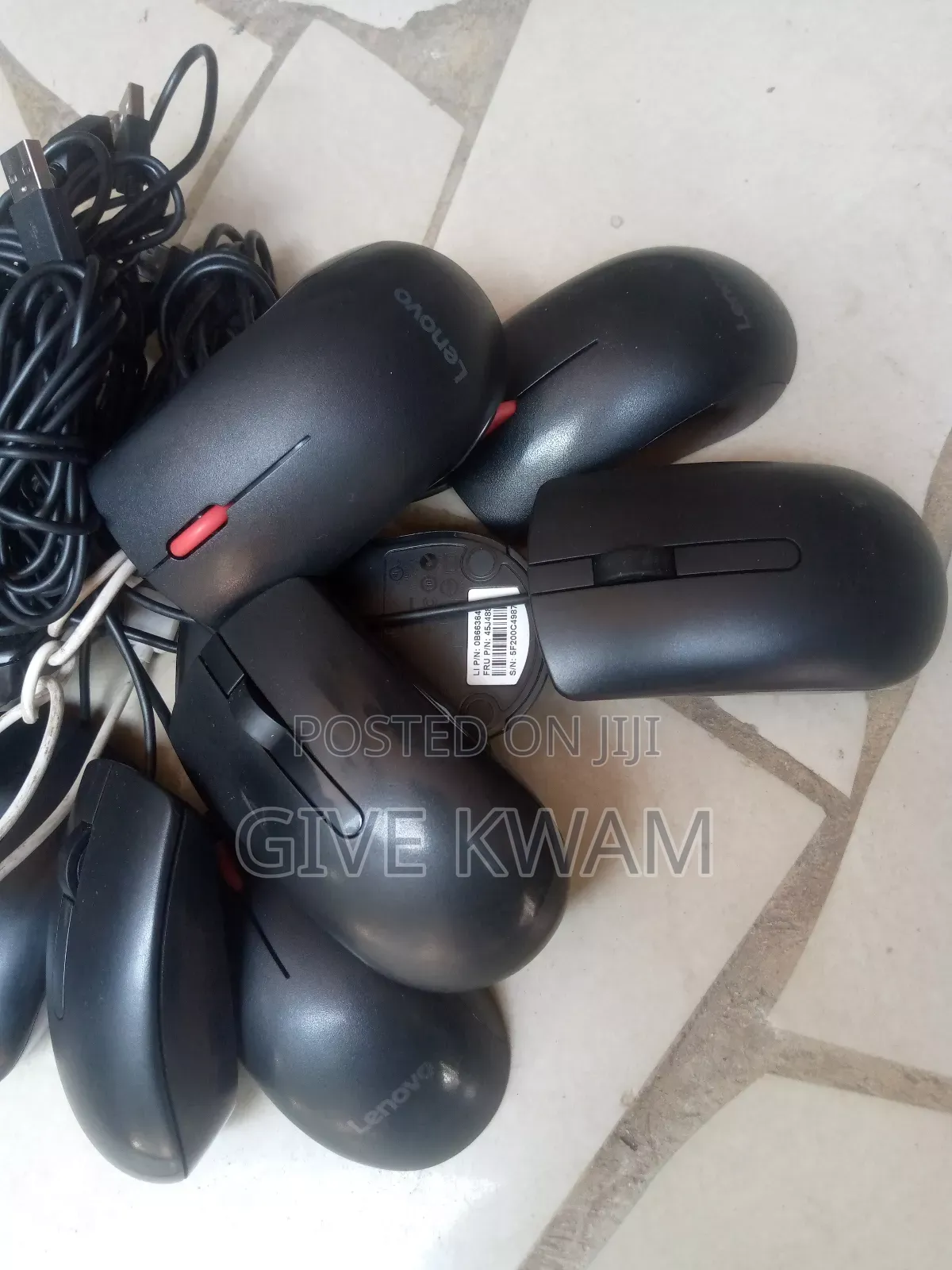 Home Use Mouse