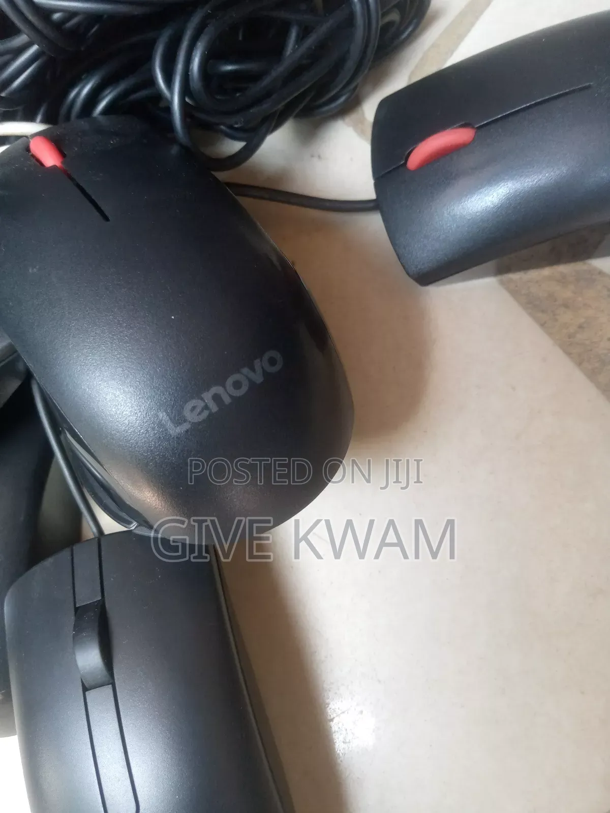 Home Use Mouse